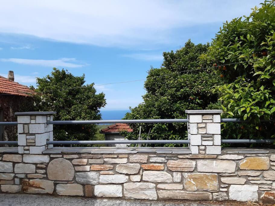 Kouros Villa! Paltsi Pilion ภายนอก รูปภาพ