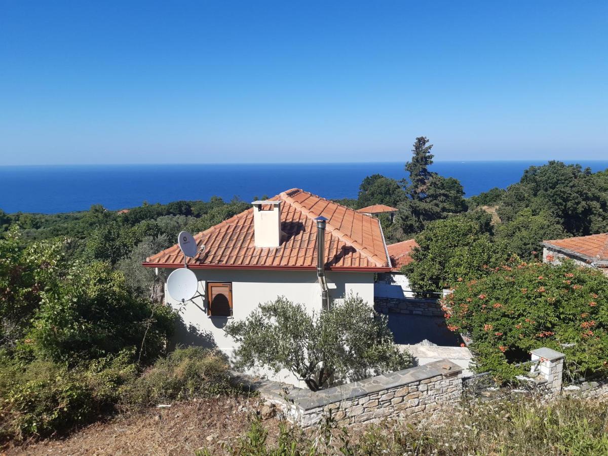 Kouros Villa! Paltsi Pilion ภายนอก รูปภาพ