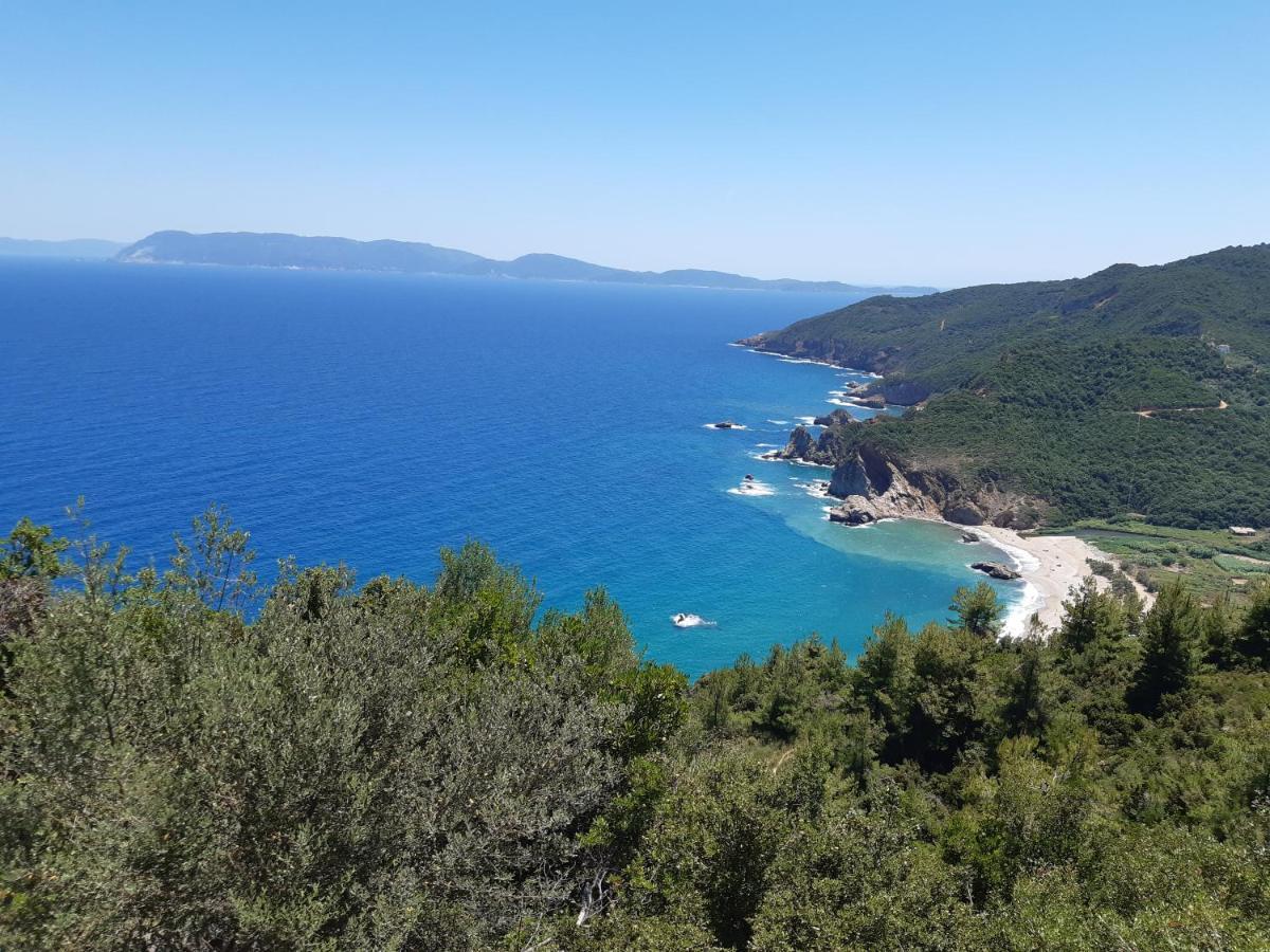 Kouros Villa! Paltsi Pilion ภายนอก รูปภาพ