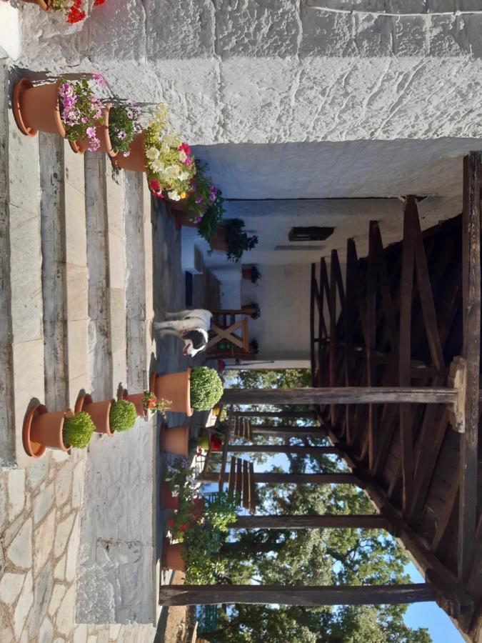 Kouros Villa! Paltsi Pilion ภายนอก รูปภาพ