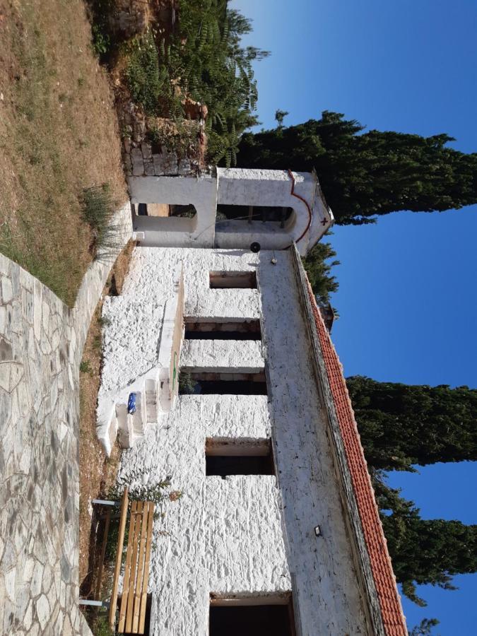 Kouros Villa! Paltsi Pilion ภายนอก รูปภาพ